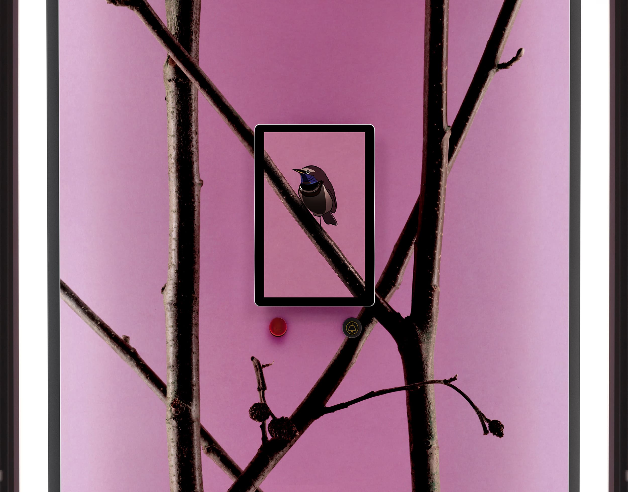 SWIFT Pro Bird
